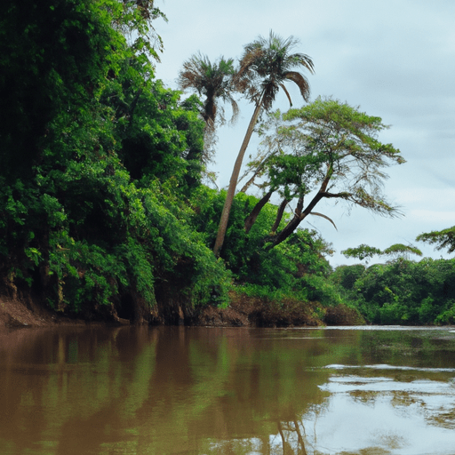 Треккинг в джунглях Амазонки: история моего путешествия